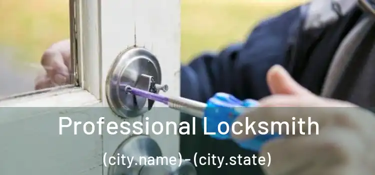  Professional Locksmith (city.name) - (city.state)